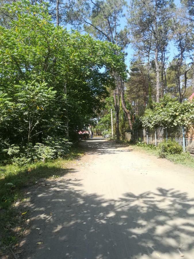Hotel Shekvetili+ Exterior foto